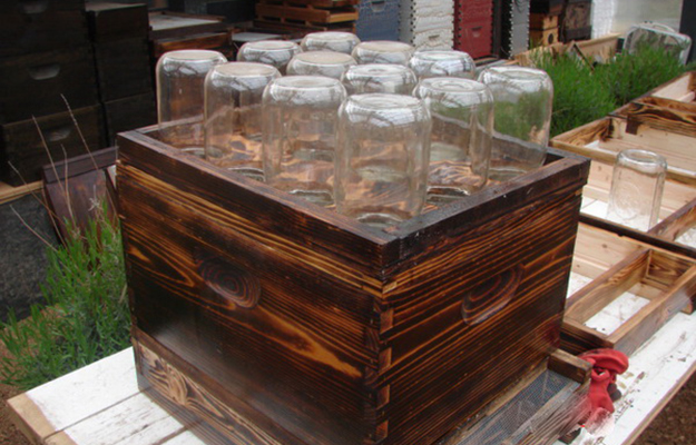 Mason Jar Bees