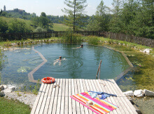 Natural Swimming Pool