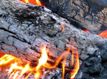 Fire - Wood Ash