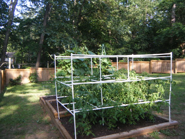 PVC Tomato Cage