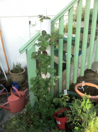 PVC vertical planter