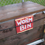 worm bin